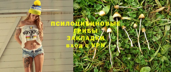 гидра Алексин
