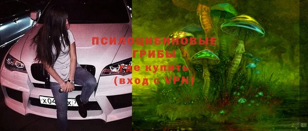 гидра Алексин