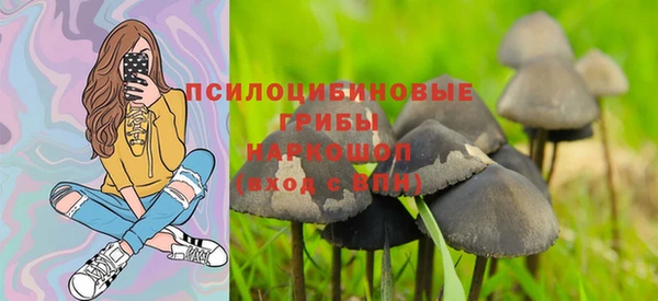 прущая мука Алексеевка