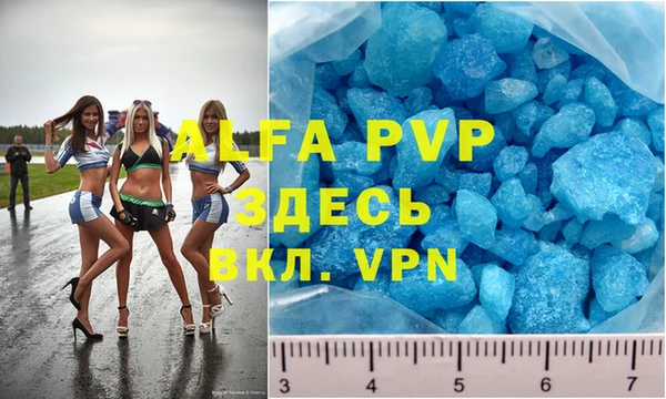 гидра Алексин