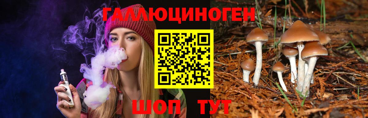 Галлюциногенные грибы MAGIC MUSHROOMS Дедовск