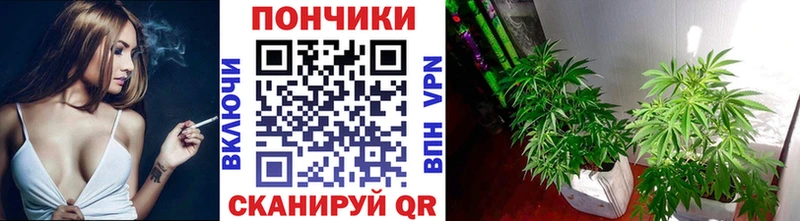 МАРИХУАНА марихуана Дедовск